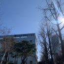 피플케크 | 고드름 녹이기 :-)