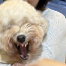 거제숯불장어구이 이미지