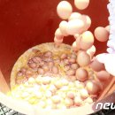 연암농장3 이미지