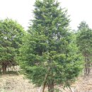 주하농장 이미지