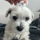 씨유 오산범이점 | [끼얏-호!]25살 일상