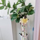 제이온샵