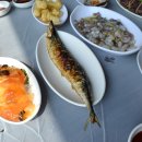 부산활어 이미지