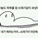 중동잔치국수 이미지