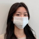 팽브로우 이미지