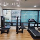 메디핏 이미지