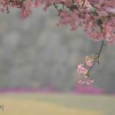 친구처럼B 이미지