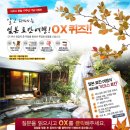 이오스 창립 10주년 기념 이벤트★ 이미지