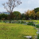 장자호수공원 이미지