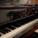 라임피아노음악학원 이미지