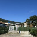 숲속댕토리애견유치원 이미지