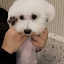 안녕아가 이미지