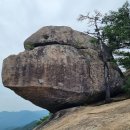 양지-3306 이미지