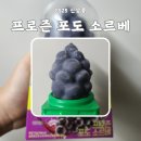 GS25 송산포도 | GS25 신상품 프로즌 포도 소르베 후기 칼로리 가격 쿠폰
