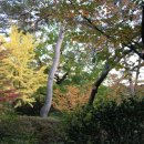 삼청공원 정문 이미지