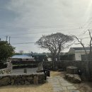 웃더럭민박 이미지