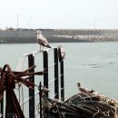 먹거리식당 이미지