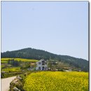 하늬바람 이미지