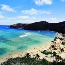 이룬농장 | 하와이 신혼여행 코스 호텔 5박7일 패키지 경비 후기 ♡