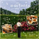 포레스트디저트 | 함양 상림공원 카페 추천｜포레스트 연유라떼와 디저트 후기