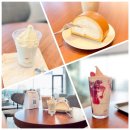 중앙동261 이미지