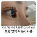 DAON(다온) | 포항 양덕동 다온바이유 DAON By.u 속눈썹펌 후기