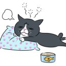 낙동제방길-1 이미지