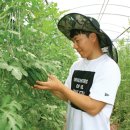 농업회사법인 고산㈜ 이미지