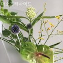더소프터사이드