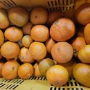 한진1농장 이미지