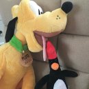 조*학 이미지