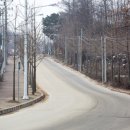 저금어지길 이미지