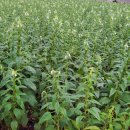 더주민행정사사무소 이미지