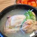 백년삼계탕,추어탕 | 내돈내산 힐링 푸드, 속 뜨뜻해지는 미슐랭 가이드 선정 북촌 맛집 백년토종삼계탕 다녀온 후기