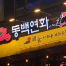영통구청 | [영통구청 맛집] 분위기 좋은 감성주점! 동백연화 영통구청점 후기!