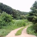 정선목장 이미지