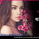 박치영성형외과의원 이미지