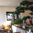 대구칼국수 이미지