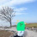 카페제네시스