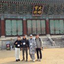 오리면 돼지 이미지