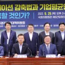 초월나비 이미지