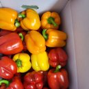 명문농장 이미지