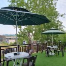 하와이스크린골프 이미지