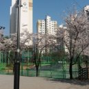팜스원마트 이미지