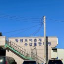 싱싱회판매장
