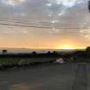 게으른 날 이미지