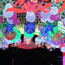 안산 별빛마을 애니멀 & 하트빌리지 빛축제 2020 이미지