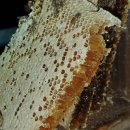 안호농장 이미지