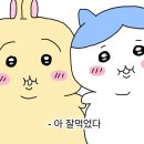 화장품랜드21샤론 | 도쿄여행4일차-귀국 ( 시부야 오타쿠 코스 파르코백화점, 키디랜드, 주술회전팝업, 뱅가드빌리지,아게산)