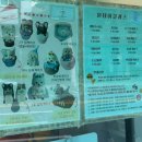 오늘뿐이개 이미지